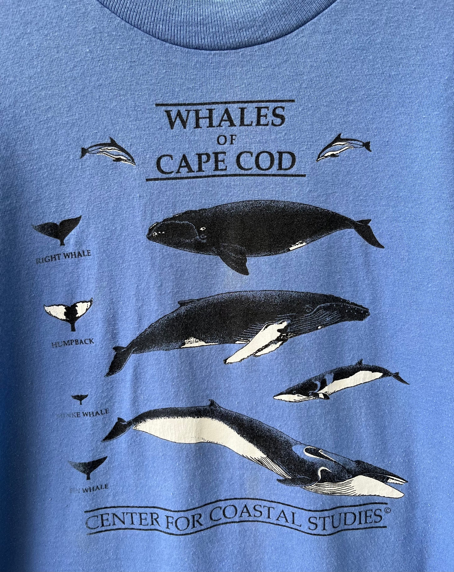90s Whales of Cape Cod T-Shirt (XL)