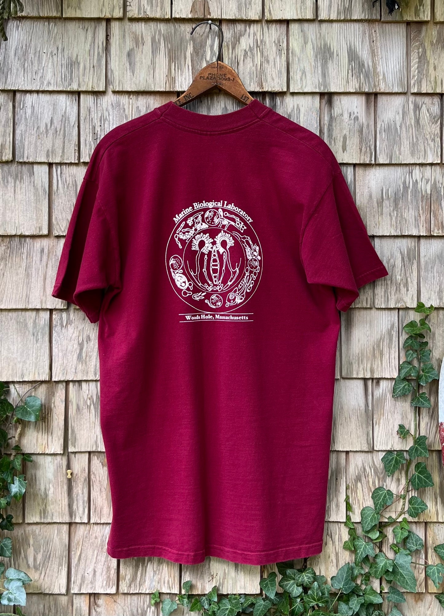 90s Woods Hole Oceanographic Institute Molecular Mycology T-Shirt (M/L)