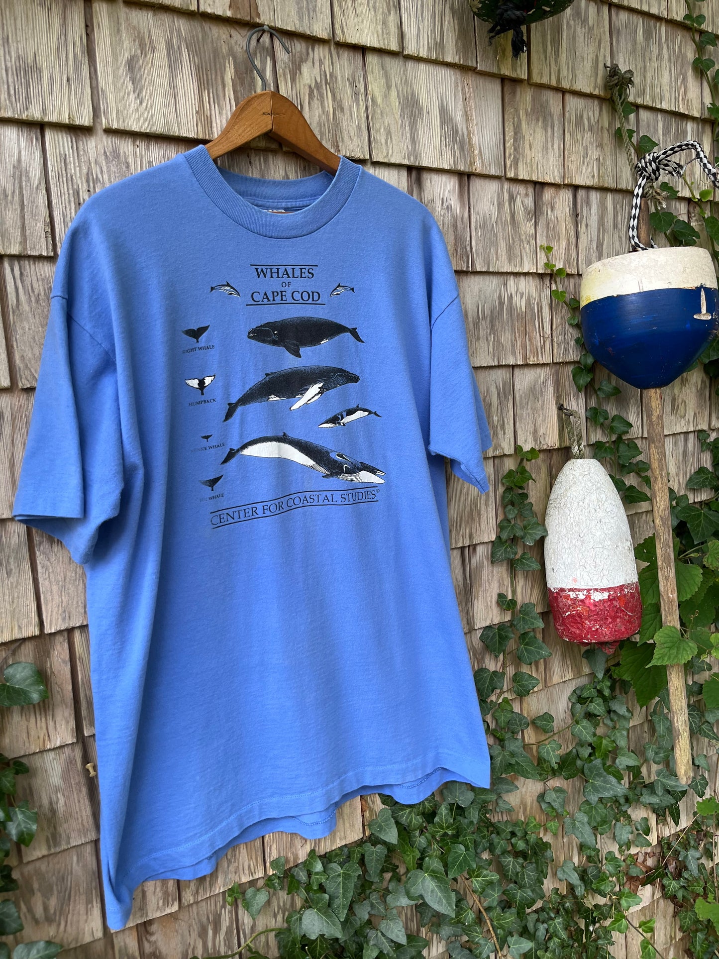 90s Whales of Cape Cod T-Shirt (XL)