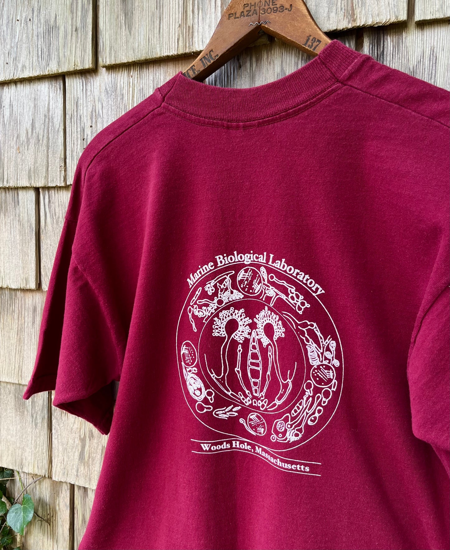 90s Woods Hole Oceanographic Institute Molecular Mycology T-Shirt (M/L)