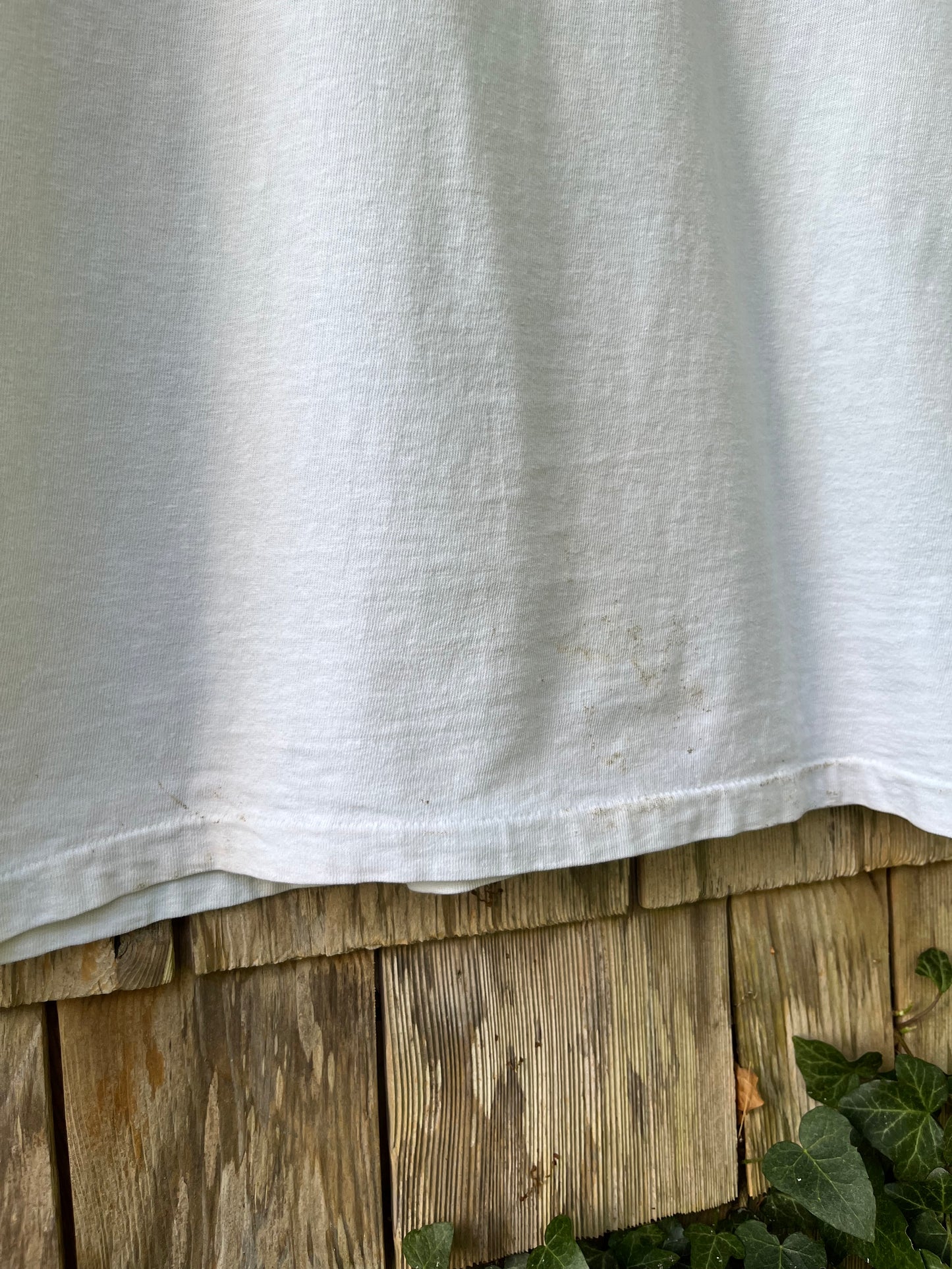 90s Martha’s Vineyard Agricultural Hall Barn Raising T-Shirt (L)