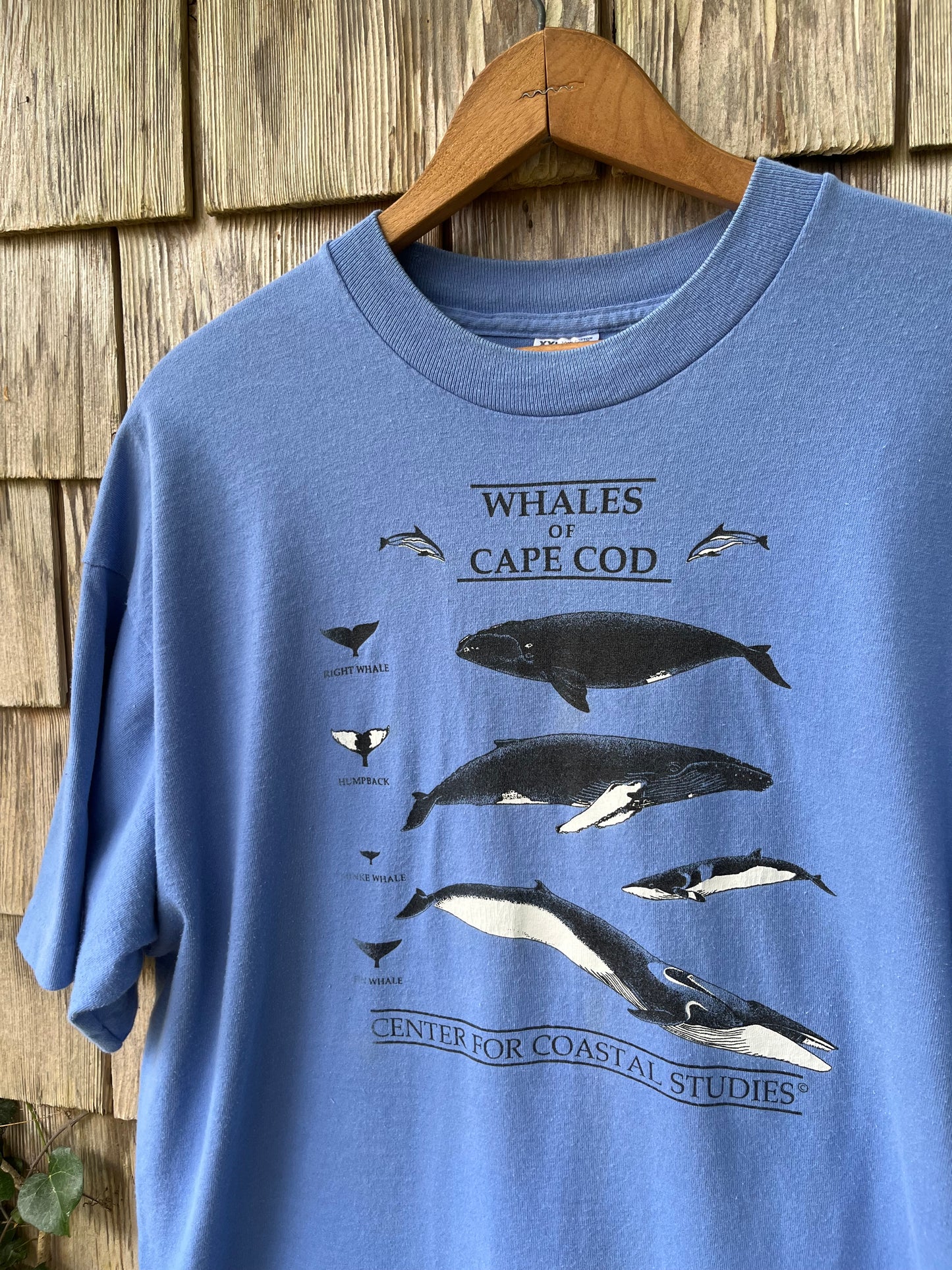 90s Whales of Cape Cod T-Shirt (XL)