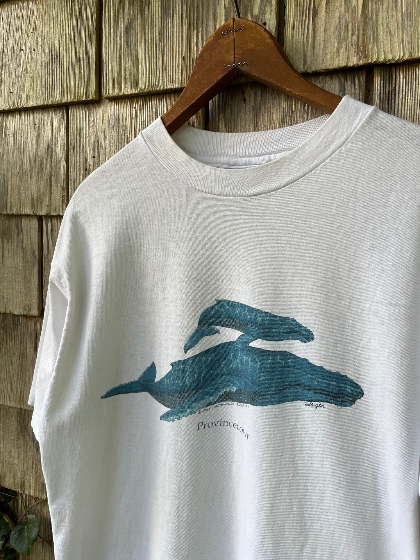 80s Provincetown Right Whales Harborside Graphics T-Shirt (M)