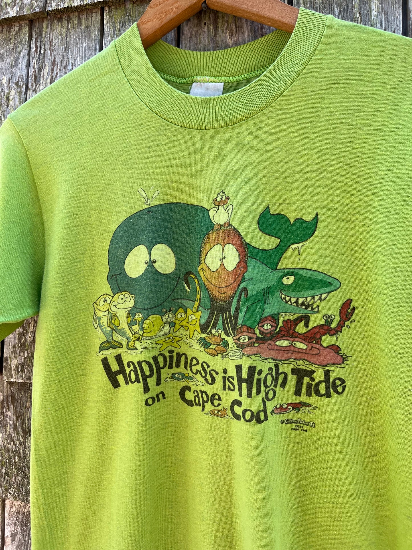 80s Happiness is High Tide on Cape Cod T-Shirt (XS/S)