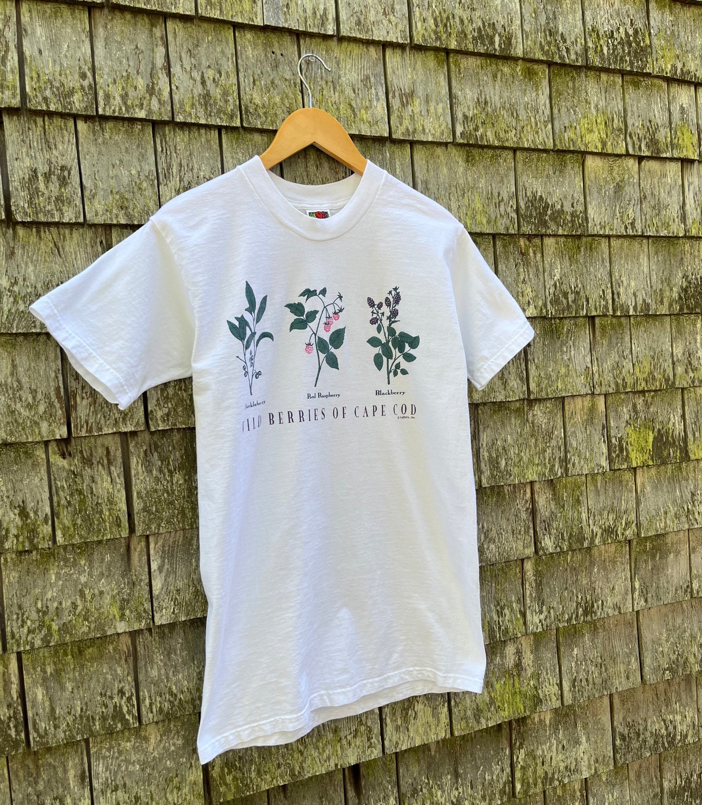 90s Wild Berries of Cape Cod T-Shirt (S/M)