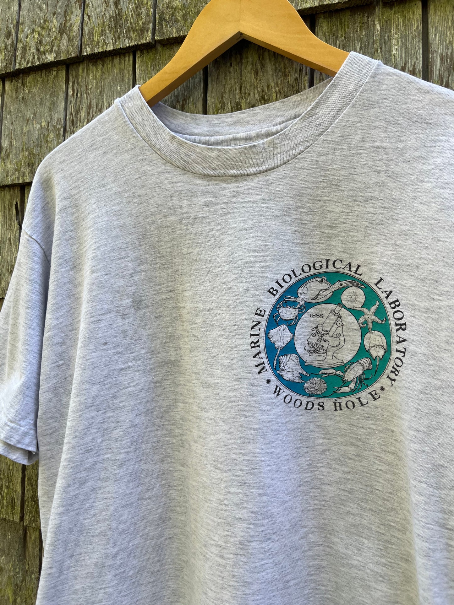 90s Marine Biological Laboratory Woods Hole T-Shirt (L)