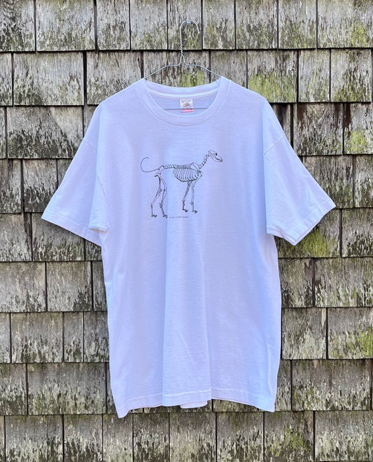 90s The Dead Dog Martha's Vineyard T-Shirt (L)