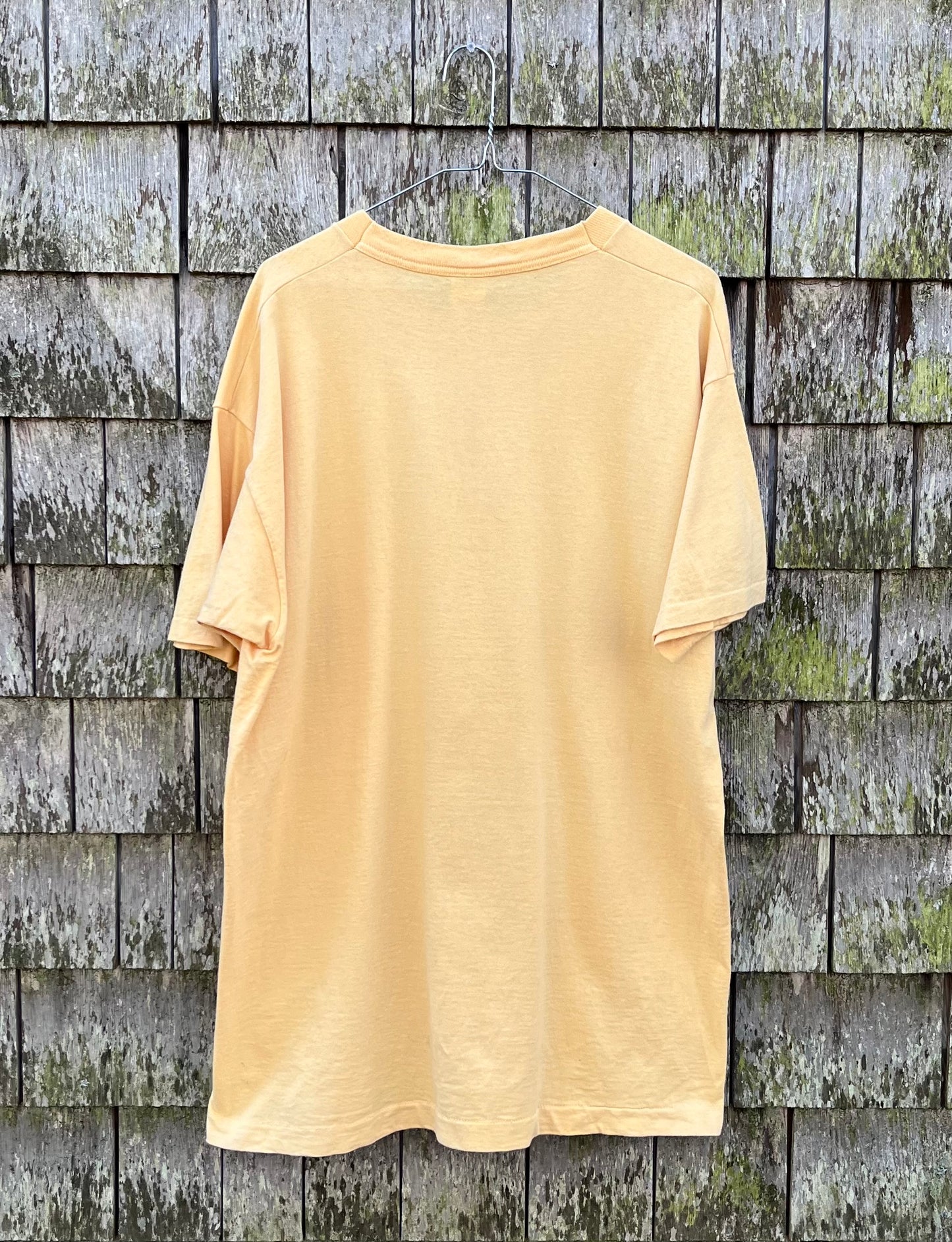 90s Northeast Algal Symposium Woods Hole Oceanographic Institute T-Shirt (L/XL)