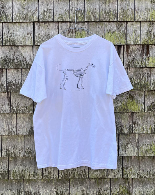 90s The Dead Dog Martha’s Vineyard T-Shirt (L)