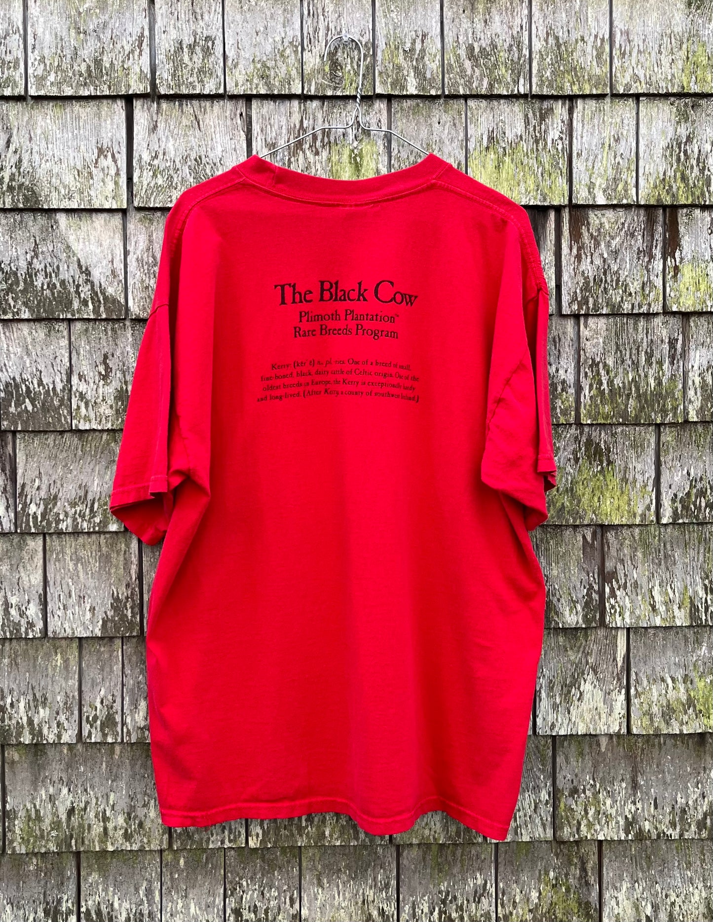 00s The Black Cow Plimoth Plantation T-Shirt (XL)