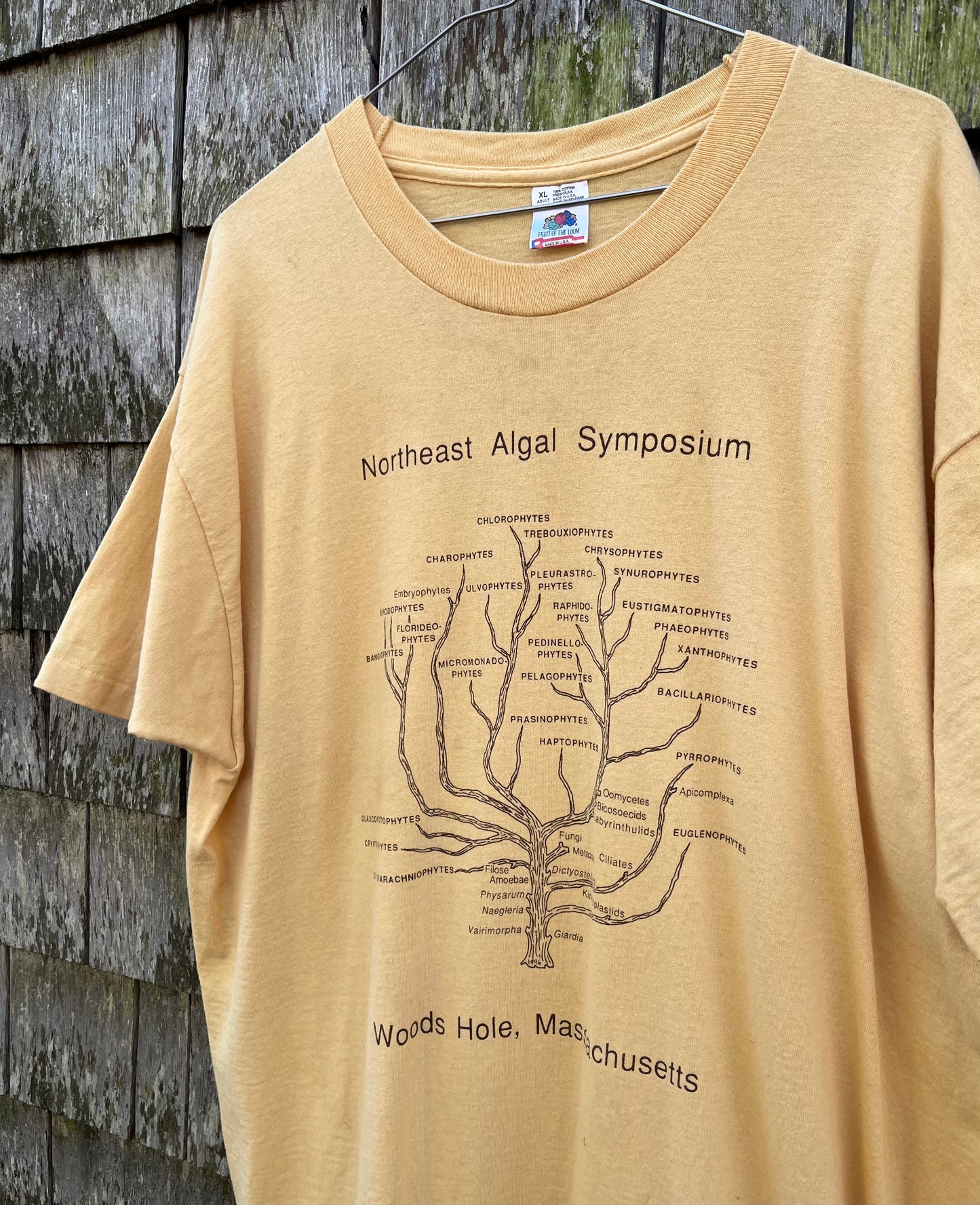 90s Northeast Algal Symposium Woods Hole Oceanographic Institute T-Shirt (L/XL)