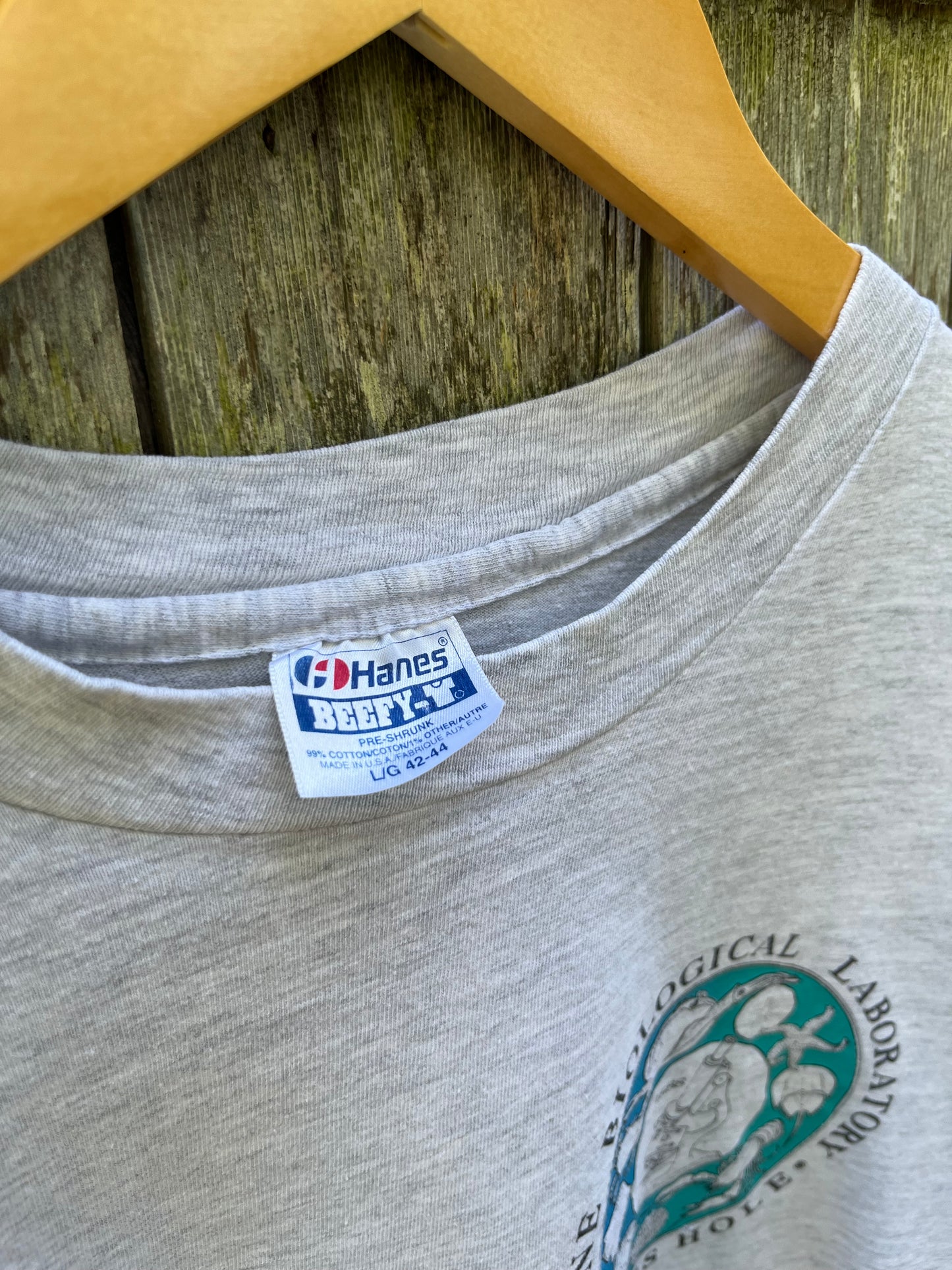 90s Marine Biological Laboratory Woods Hole T-Shirt (L)