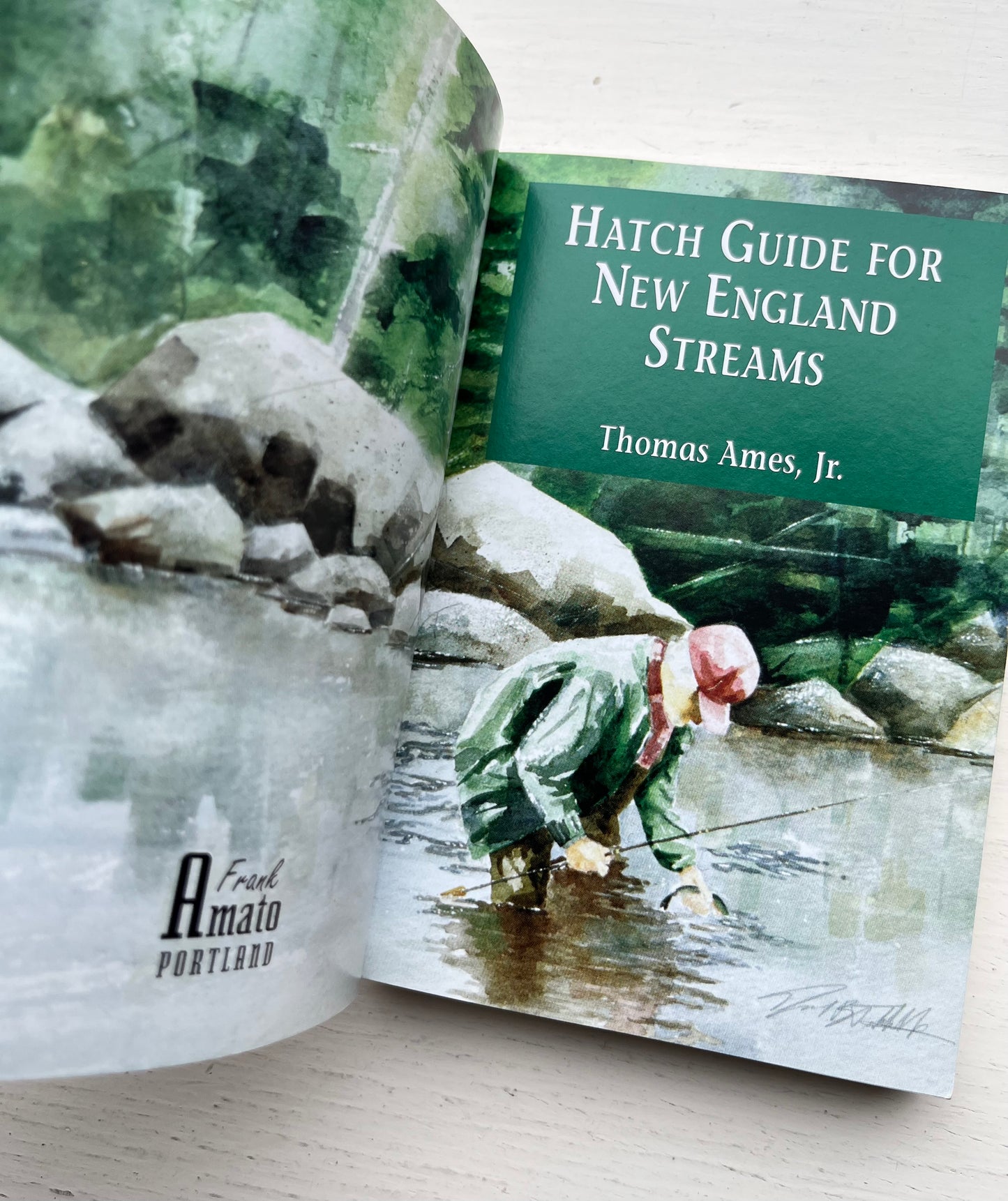 00s Hatch Guide For New England Streams by Thomas Ames Jr.