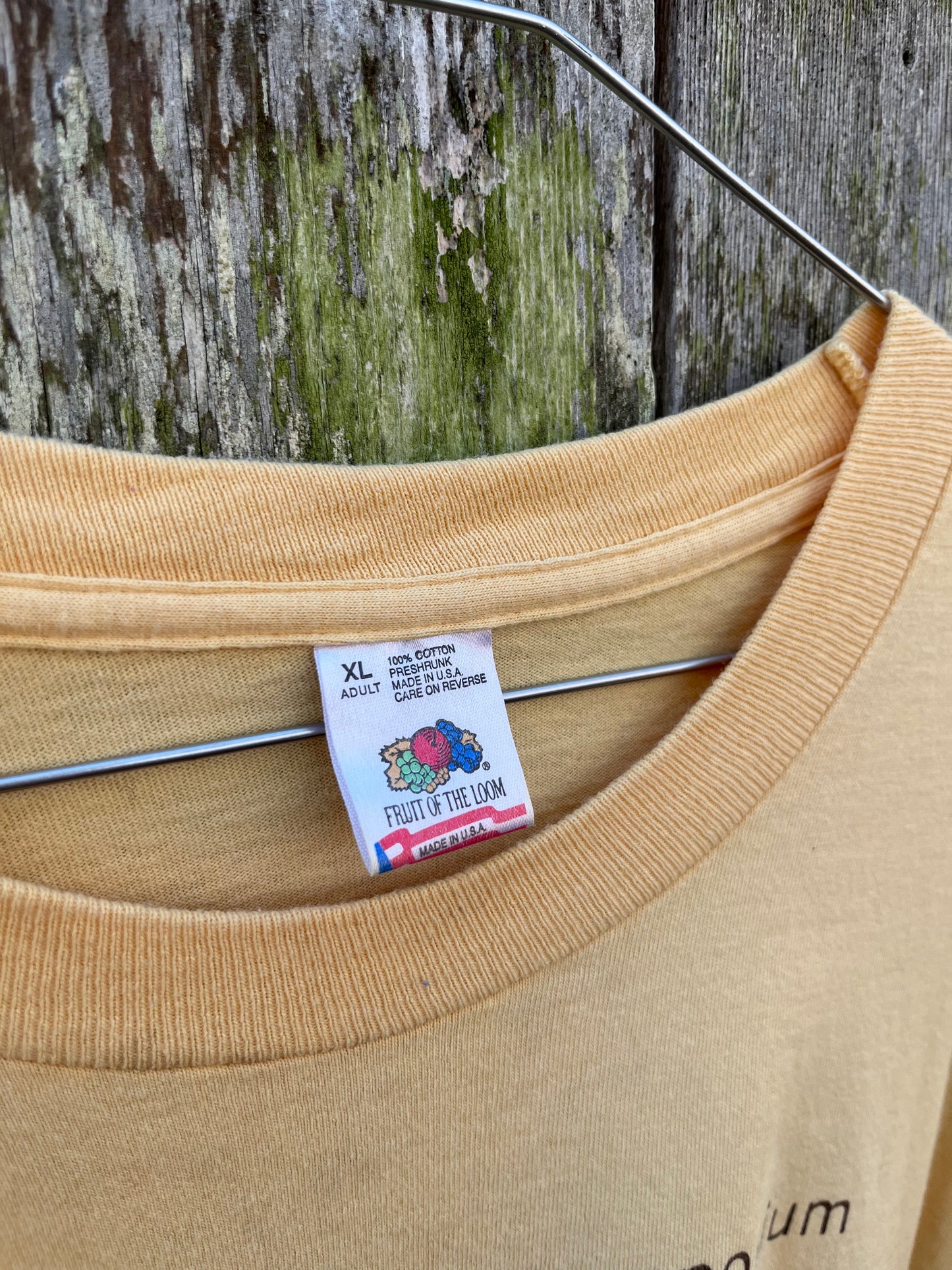 90s Northeast Algal Symposium Woods Hole Oceanographic Institute T-Shirt (L/XL)