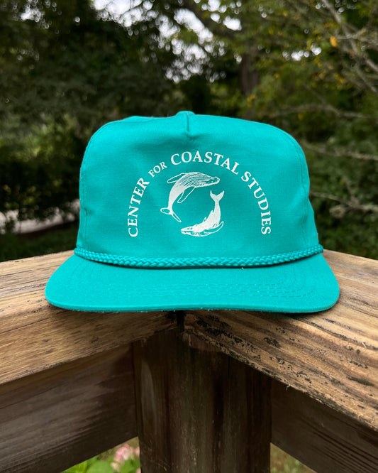 90s Center for Coastal Studies Provincetown Snapback Cap (OSFA)