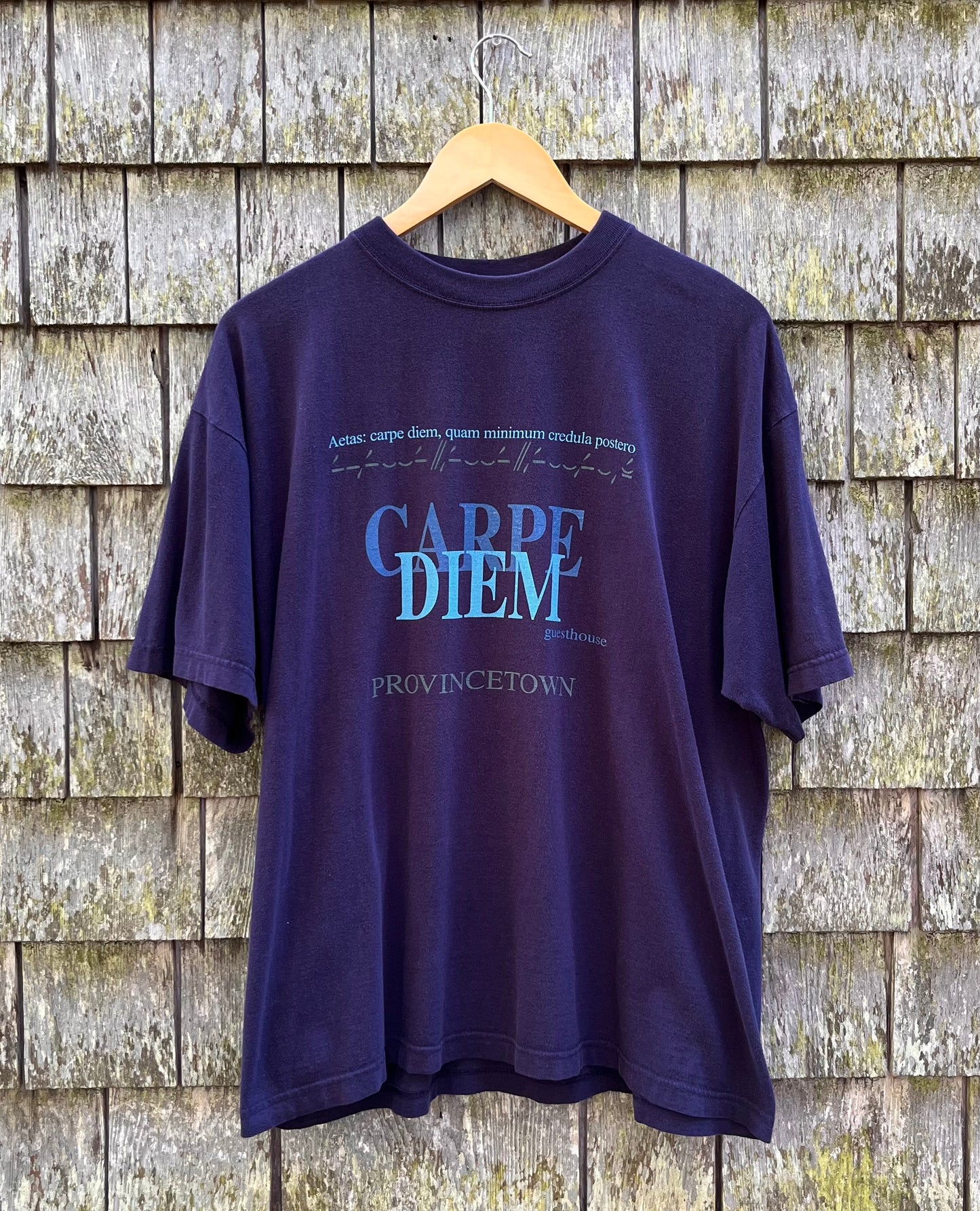 90s Carpe Diem Guest House & Spa Provincetown T-Shirt (XL)