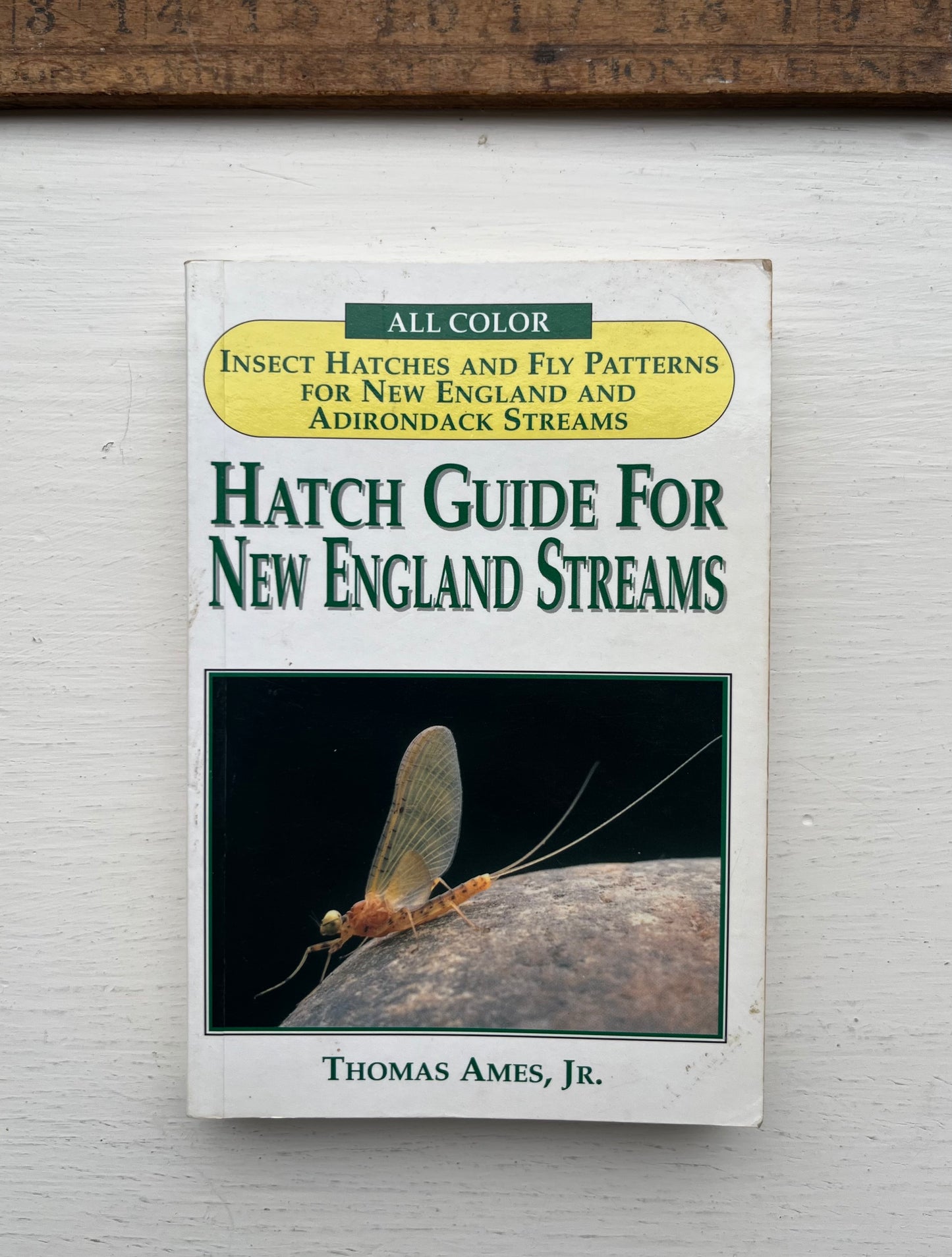 00s Hatch Guide For New England Streams by Thomas Ames Jr.