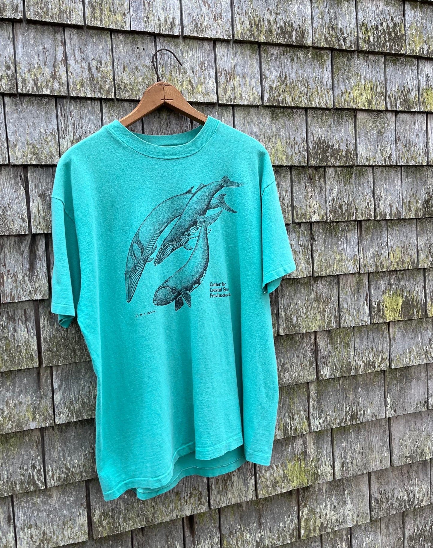 90s Center for Coastal Studies Provincetown Whales T-Shirt (L)
