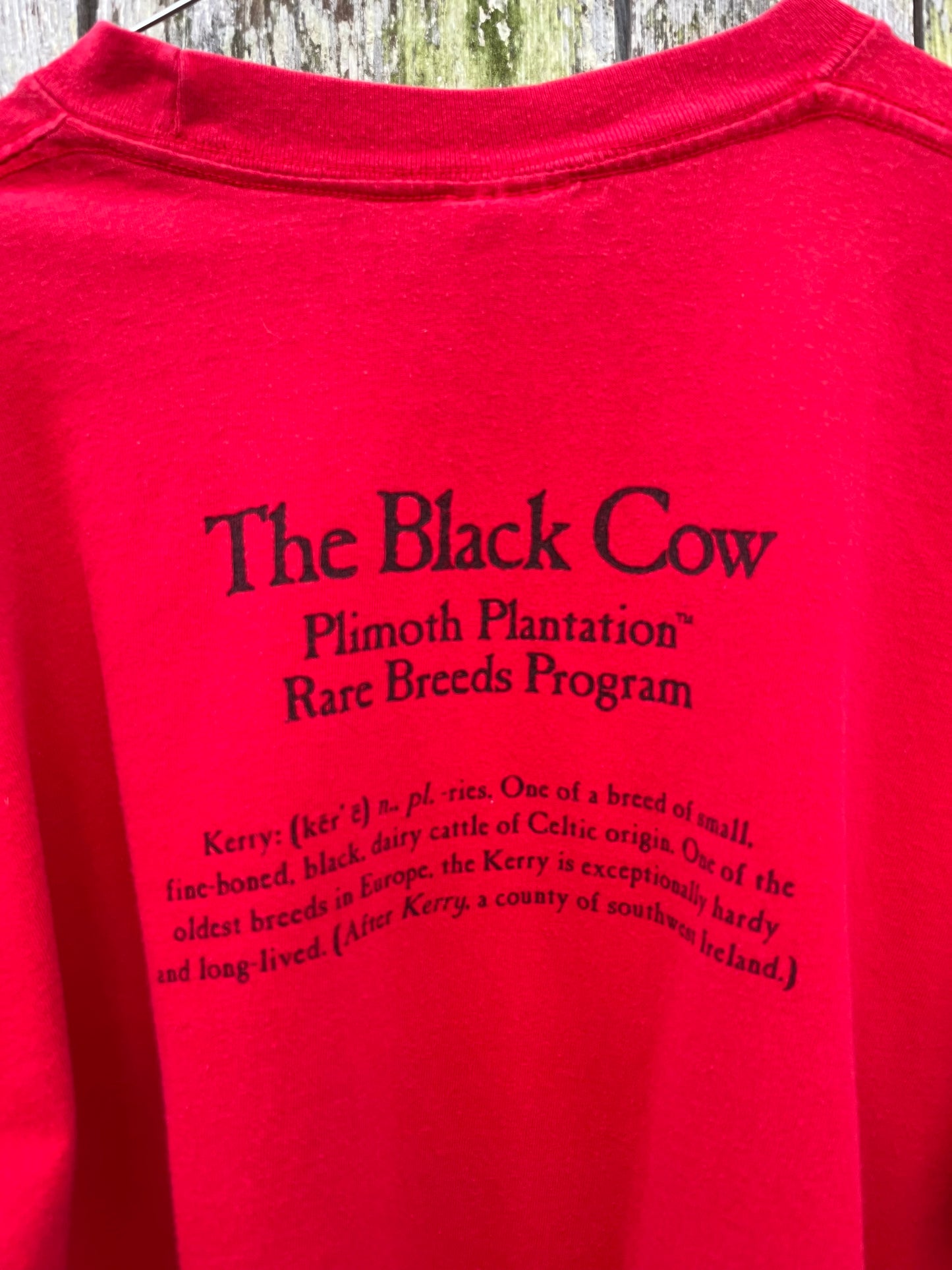 00s The Black Cow Plimoth Plantation T-Shirt (XL)