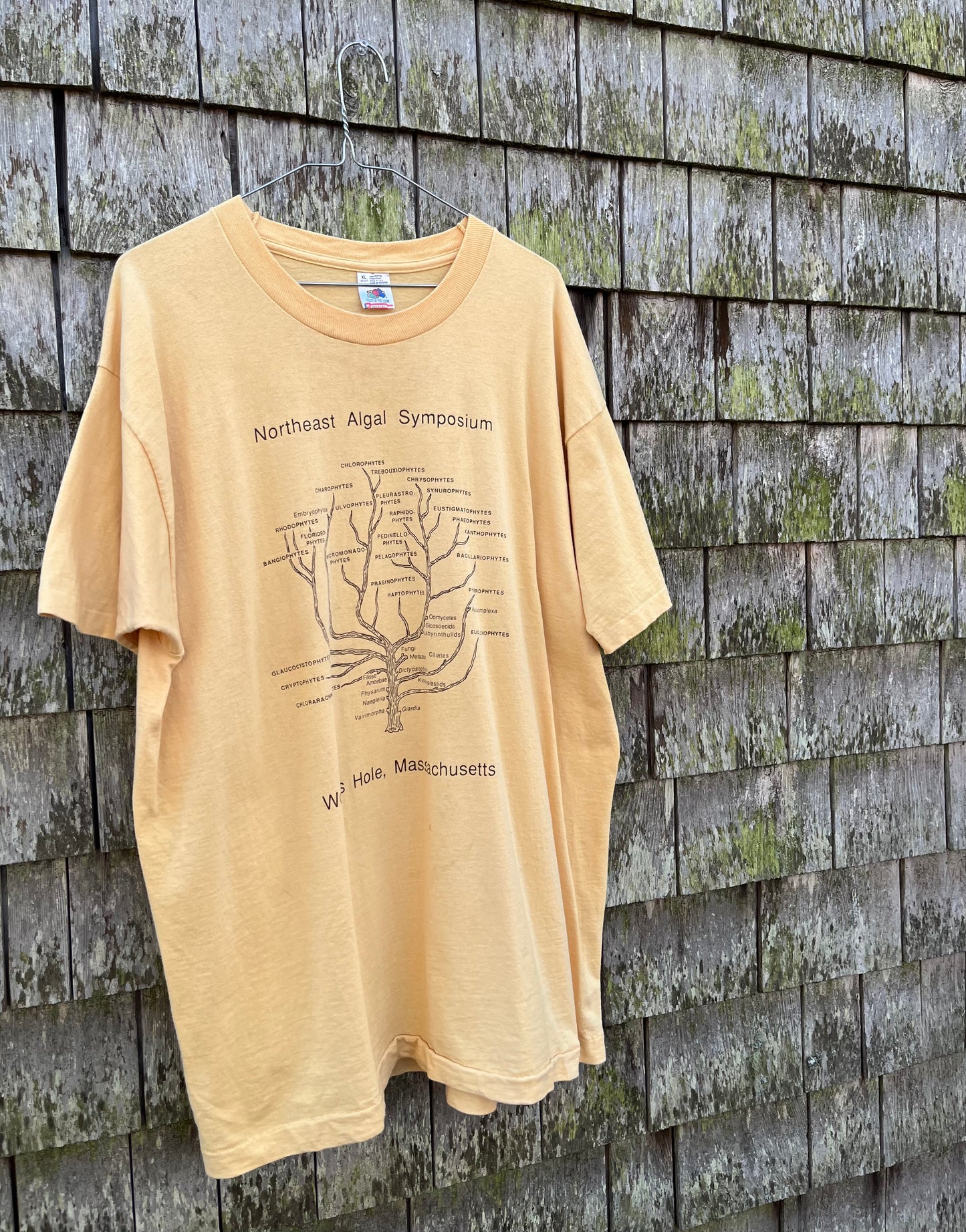90s Northeast Algal Symposium Woods Hole Oceanographic Institute T-Shirt (L/XL)