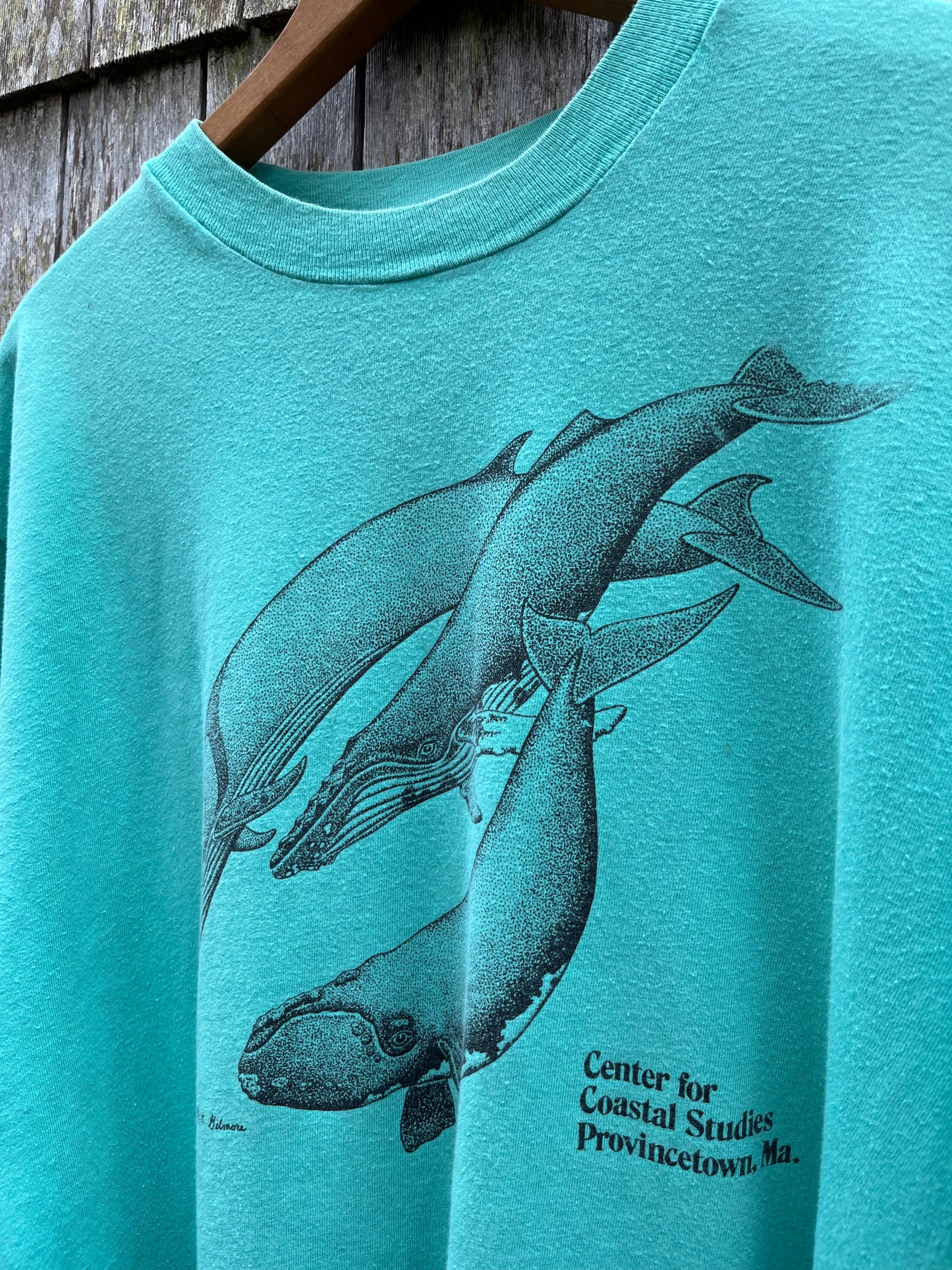90s Center for Coastal Studies Provincetown Whales T-Shirt (L)