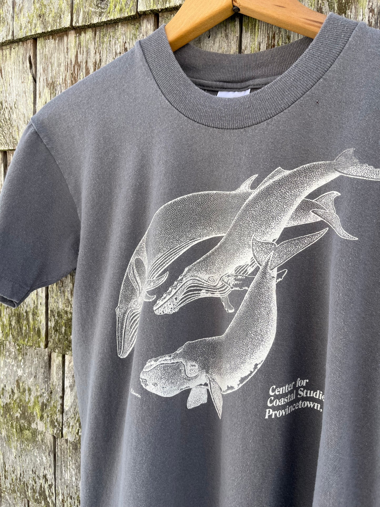 90s Center for Coastal Studies Provincetown T-Shirt (S/M)