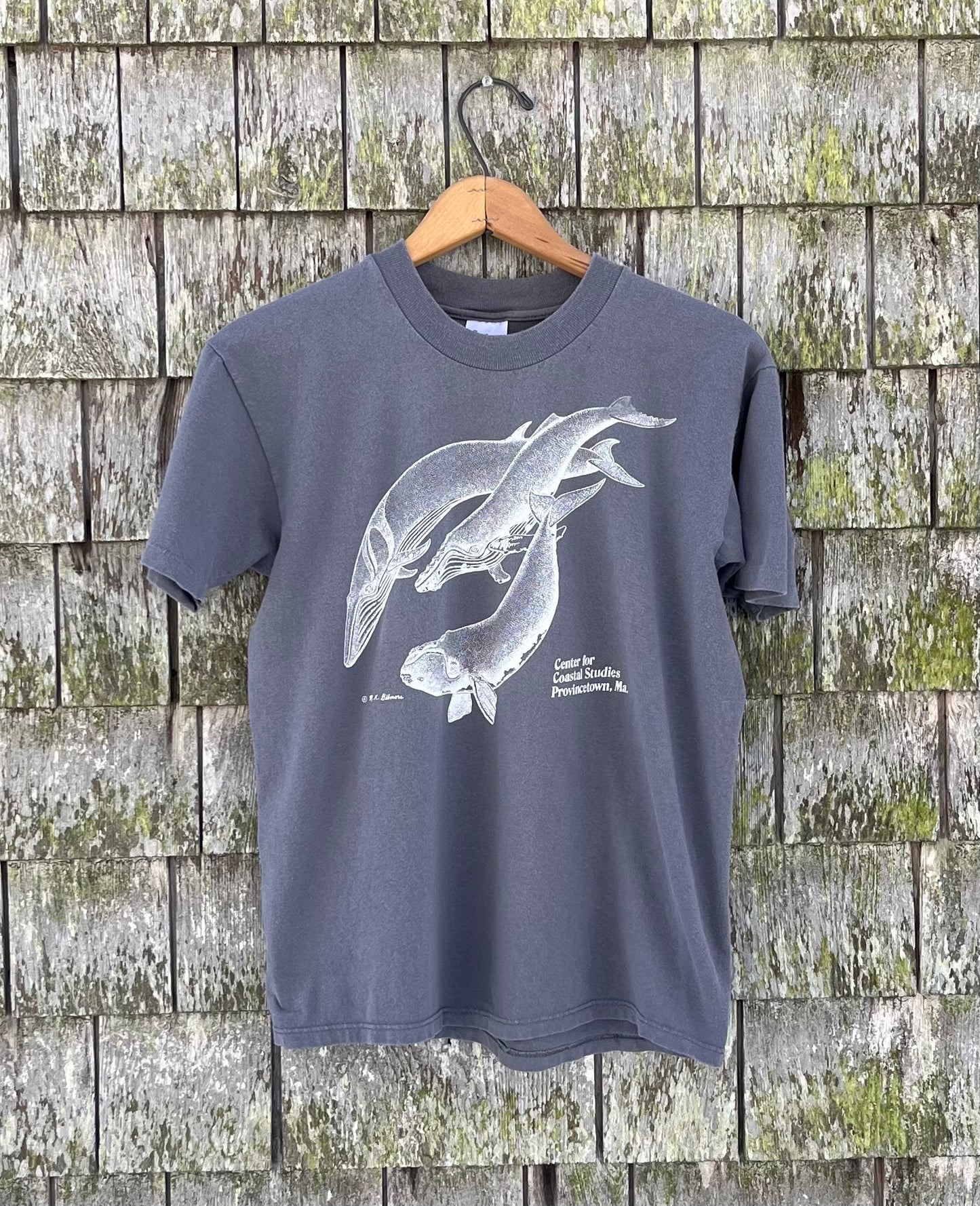 90s Center for Coastal Studies Provincetown T-Shirt (S/M)